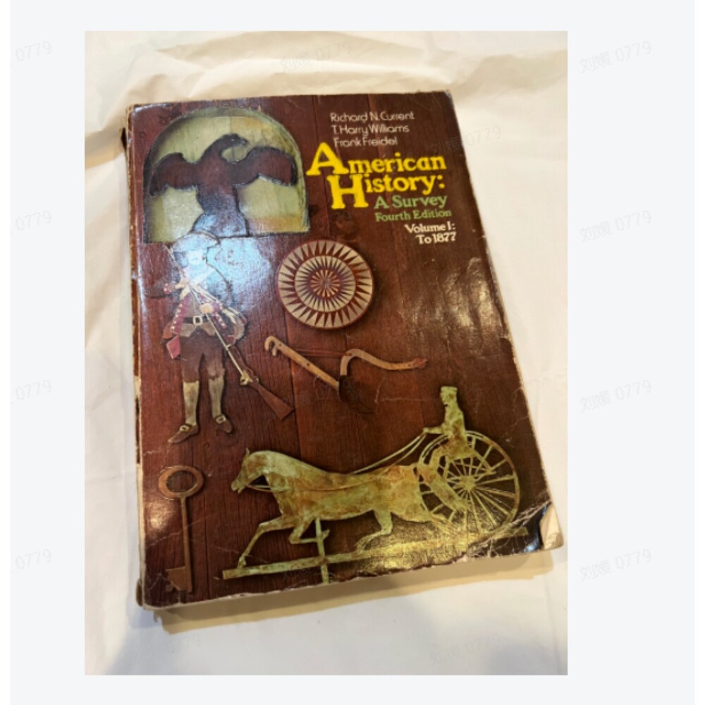 Vintage Book---American History A Survey Fourth Edition